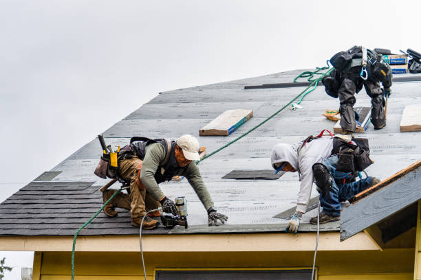 Professional Storm Damage Roof Repair technician working in Zenia, CA